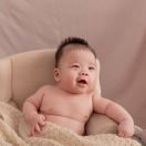 唯品鲜奶淡凡1817