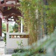 岩延生活美学茶铺