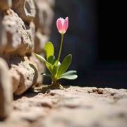 打不赢吐口水噻