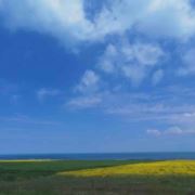 景德镇专业家教1