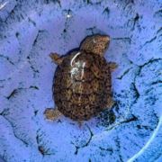 简简单单又一餐