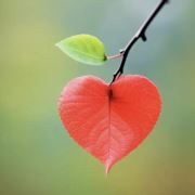 沥海化妆品厂招聘