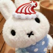 重生之我要找工作