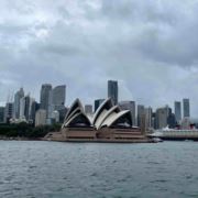 悉尼大学小张老师