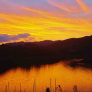 爱钓鱼的闲杂人邓