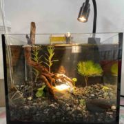 想当老板的普工