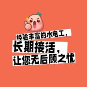回乡下种香菜