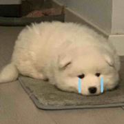 生生不晰晰晰晰晰