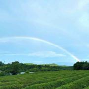 岁月无情570