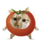 WX_瓶