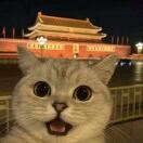 天使251336