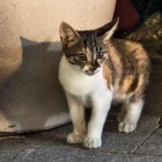 找工作就来滴我