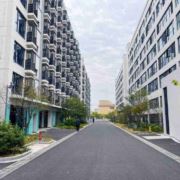 会跳舞的小螃蟹