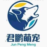 君鹏宠物托运嵊州