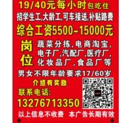 智蓝招聘