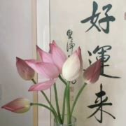 青山踏遍人未老