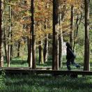 五洲新春招聘张好