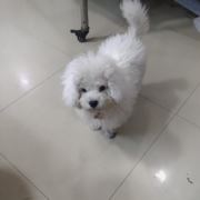 祝自己每天快乐