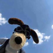 景德镇租房小穗