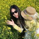 hp左右二路仙人