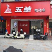 五羊大动力电动