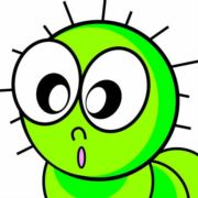 毛毛虫爬啊爬O