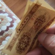 大山深处的独行者